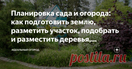 Планировка сада и огорода: как подготовить землю, разметить участок, подобрать и разместить деревья, кустарники и грядки Планировка сада и огорода – обязательное действие при обустройстве приусадебной территории. Она предназначается для грамотного размещения построек и зеленых насаждений с использованием всей полезной площади.