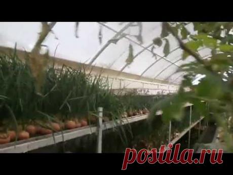 Зимняя теплица Бийск