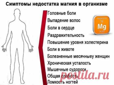 Отсутствие аппетита, пониженная температура тела, депрессия, нервозность, конвульсии и тремор… Вполне возможно, что у всех этих бед один-единственный источник. А именно – недостаток в организме магния
#красотаздоровье
Список неприятностей, которые может спровоцировать недостаточное количество этого микроэлемента, можно продолжать почти до бесконечности. Дефицит магния – частый спутник бессонницы, головных болей, запоров, преждевременного старения, анемии, неврологических проблем.
Но, пожалуй, б