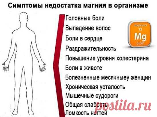Отсутствие аппетита, пониженная температура тела, депрессия, нервозность, конвульсии и тремор… Вполне возможно, что у всех этих бед один-единственный источник. А именно – недостаток в организме магния
#красотаздоровье
Список неприятностей, которые может спровоцировать недостаточное количество этого микроэлемента, можно продолжать почти до бесконечности. Дефицит магния – частый спутник бессонницы, головных болей, запоров, преждевременного старения, анемии, неврологических проблем.
Но, пожалуй, б