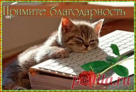 Суставы буквально выворачивало...