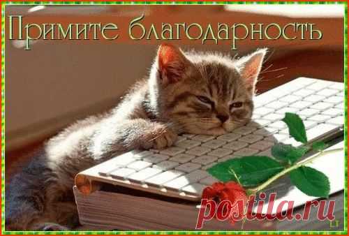 Суставы буквально выворачивало...