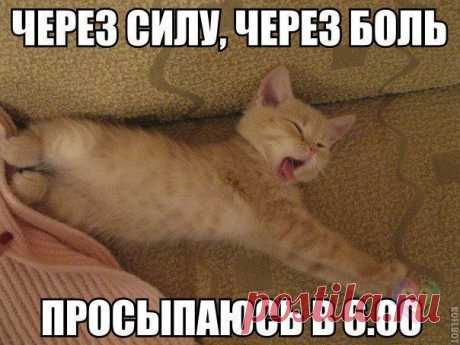 Василий Тимошин vasiliy-timoshin - Москва, Россия, 61 год на Мой Мир@Mail.ru