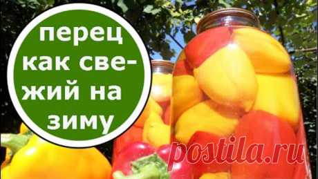 ПЕРЕЦ Для ФАРШИРОВАНИЯ на Зиму БЕЗ СТЕРИЛИЗАЦИИ БЕЗ УКСУСА!!! Супер рецепт!!!