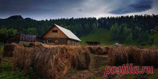 Земельный участок: понятие и основные характеристики