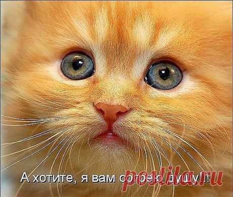 Вот  что может скрасить одиночество