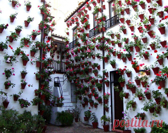 Прекрасный фестиваль цветов в патио (Кордова, Испания)