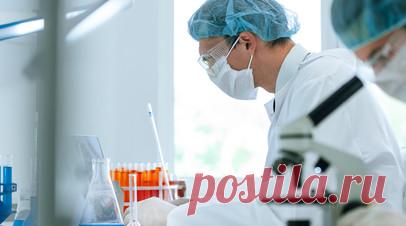 Вирусолог Карпова: лихорадка Западного Нила не распространена в России. Вирусолог, доктор биологических наук, профессор, завкафедрой вирусологии Биологического факультета МГУ им. М.В. Ломоносова Ольга Карпова прокомментировала в беседе с RT ситуацию со случаями лихорадки Западного Нила в Ростовской области и отметила, что жителям России вовсе не стоит беспокоиться по поводу возможного распространения заболевания. Читать далее