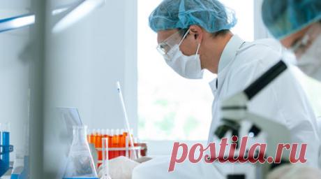 Вирусолог Карпова: лихорадка Западного Нила не распространена в России. Вирусолог, доктор биологических наук, профессор, завкафедрой вирусологии Биологического факультета МГУ им. М.В. Ломоносова Ольга Карпова прокомментировала в беседе с RT ситуацию со случаями лихорадки Западного Нила в Ростовской области и отметила, что жителям России вовсе не стоит беспокоиться по поводу возможного распространения заболевания. Читать далее