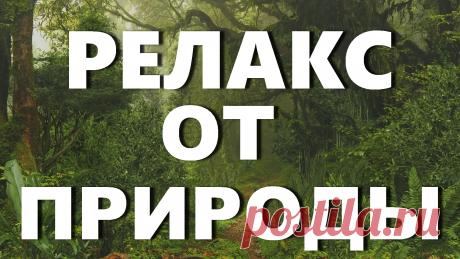 Релакс звуки природы пение птиц, шум деревьев, журчание ручья | INTERes
Звуки природы – это природный релакс для души, это музыка для успокоения, это музыка природы для релаксации и успокоения, для расслабления после напряженного рабочего дня. Вы можете расслабиться в тишине под пение птиц, уловить шум деревьев, и услышать журчание ручья. 
Почувствуйте, как будто Ваше сознание оказалось во влажном лесу