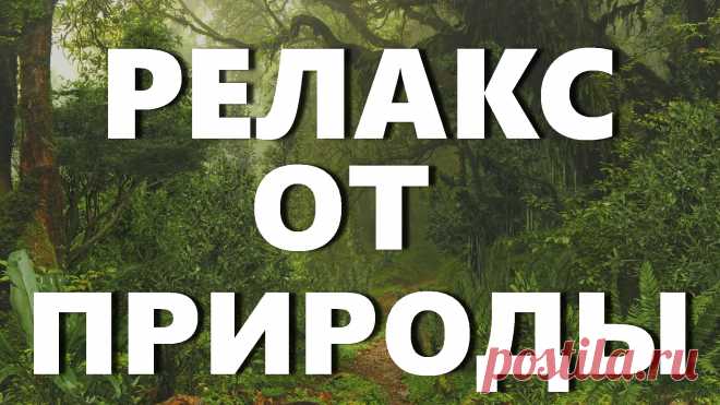 Релакс звуки природы пение птиц, шум деревьев, журчание ручья | INTERes
Звуки природы – это природный релакс для души, это музыка для успокоения, это музыка природы для релаксации и успокоения, для расслабления после напряженного рабочего дня. Вы можете расслабиться в тишине под пение птиц, уловить шум деревьев, и услышать журчание ручья. 
Почувствуйте, как будто Ваше сознание оказалось во влажном лесу