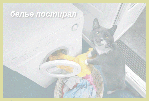 КАРТИНКИ