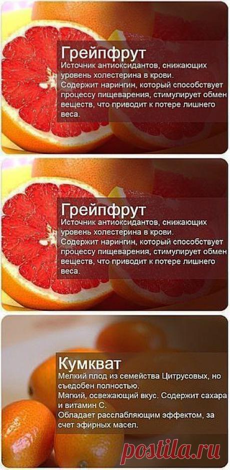 Секреты здоровья