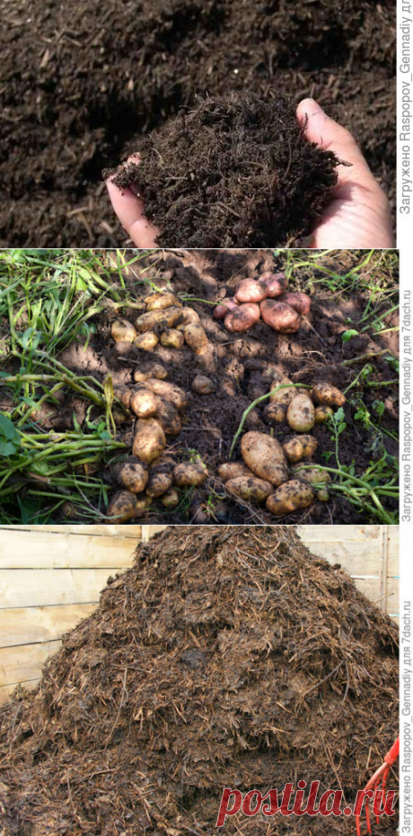 Как приготвить компост правильно: подробное описание. Использование компоста и компостного чая