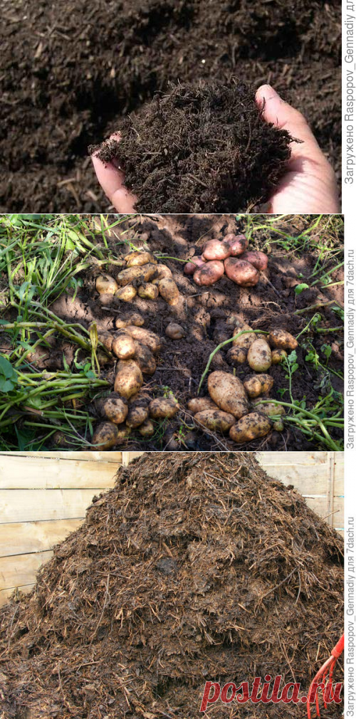 Как приготвить компост правильно: подробное описание. Использование компоста и компостного чая