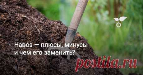 Навоз — плюсы, минусы и чем его заменить? Большинство из нас регулярно использовали навоз для удобрения своих растений. Тем не менее, выращивать органические овощи вполне возможно и без навоза. В этой статье мы рассмотрим, какие плюсы и минусы заключает в себе использование навоза на участке, а также варианты того, чем его можно заменить.