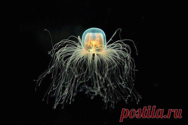 Фото-природа