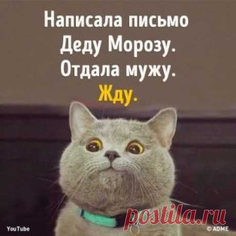 ce57581b3d50437f74407846bad359c7.jpg (650×650)