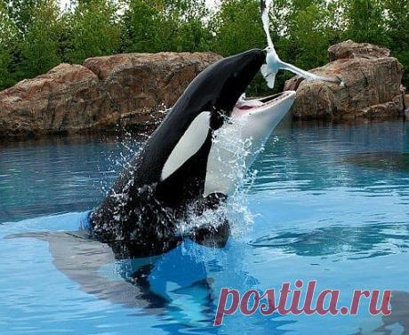 Мой Мир@Mail.Ru