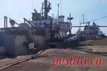 Два россиянина, два украинца и литовец застряли на судне в Африке без паспортов. Пятеро моряков провели восемь месяцев на борту рыболовецкого судна в порту в Мозамбике из-за конфликта между заказчиком и нанимателем. Двое россиян, двое украинцев и литовец буквально застряли на траулере в Африке — они не могут самостоятельно уехать, потому что сотрудники порта забрали их паспорта.