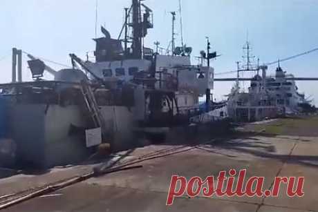 Два россиянина, два украинца и литовец застряли на судне в Африке без паспортов. Пятеро моряков провели восемь месяцев на борту рыболовецкого судна в порту в Мозамбике из-за конфликта между заказчиком и нанимателем. Двое россиян, двое украинцев и литовец буквально застряли на траулере в Африке — они не могут самостоятельно уехать, потому что сотрудники порта забрали их паспорта.
