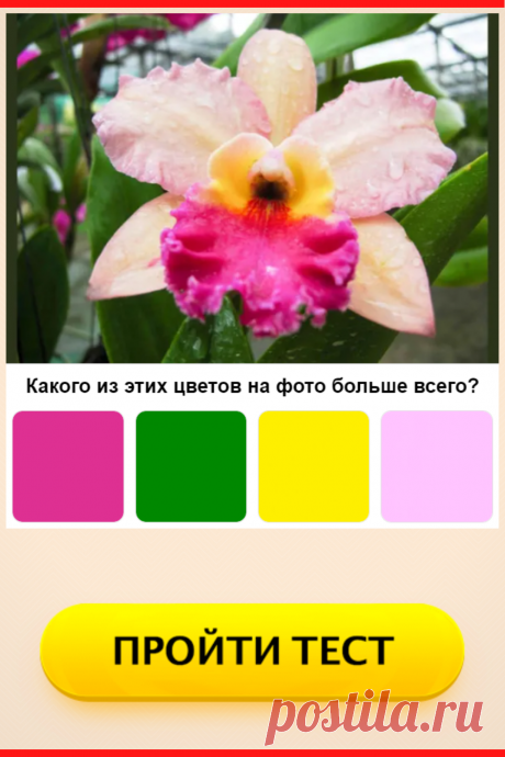 Цветовой Тест: реалист, сюрреалист или идеалист?
#тест #интересные_тесты #тесты_личности #викторина #психология #психология_развития #личностное_развитие #загадки #головоломки #интересный_тест #самопознание #саморазвитие #психологический_тест