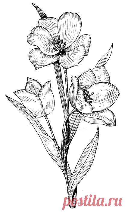 вышивка гладью