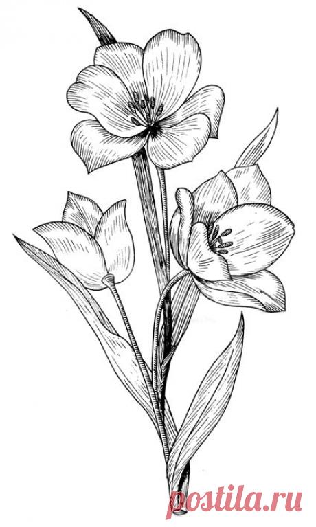 вышивка гладью