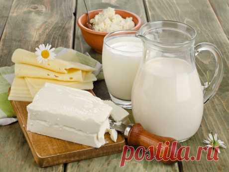 Невероятно простые наблюдения: проверьте молочные продукты на содержание пальмового масла — Мой город