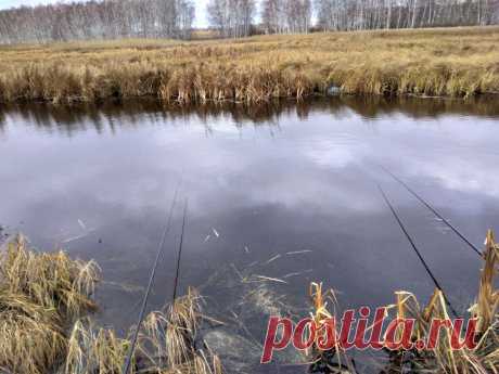 Что можно и что нельзя делать на рыбалке - В огороде с Верой Водян