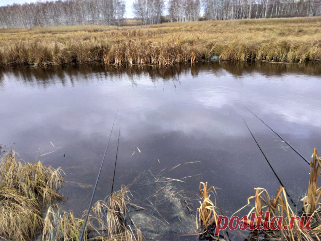 Что можно и что нельзя делать на рыбалке - В огороде с Верой Водян