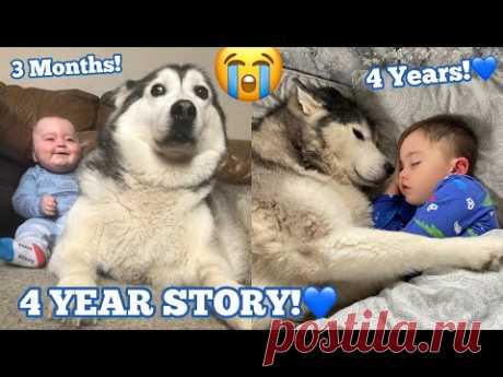 The Full 4 Year Story Of My Husky & Baby Becoming Best Friends!! [WITH MUSIC!]