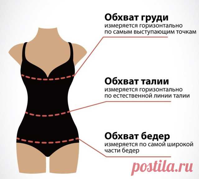 Замеры фигуры. Статьи компании «Интернет-магазин Леди-лайн»