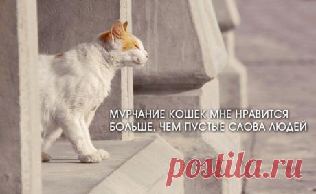 Идеи для дома