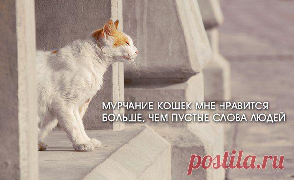 Идеи для дома