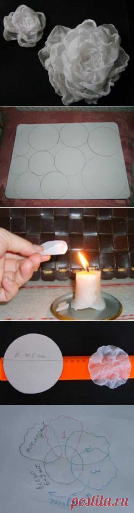 Бант для школьницы. | ХорошоДома!