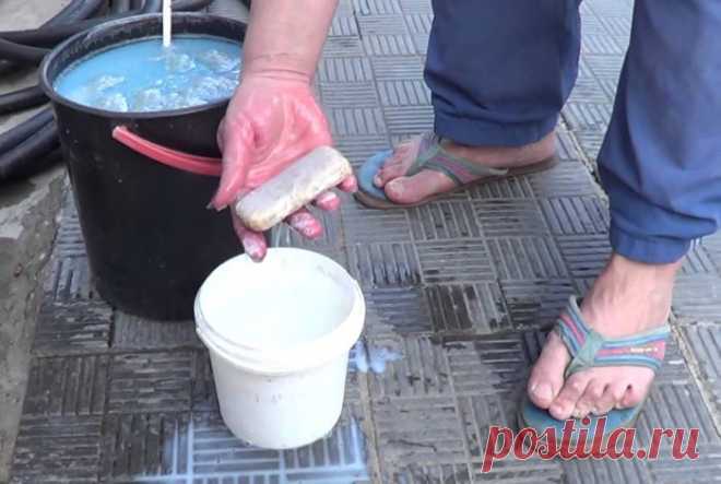 Опрыскивание плодовых деревьев и кустарников весной от болезней и вредителей: сроки, графики, препараты. Когда и чем обработать плодовые деревья и кустарники ранней весной и после цветения?