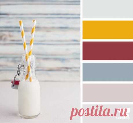 Design Seeds® | for all who ❤ color | milk tones