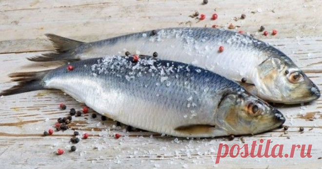 Как легко и быстро почистить селедку от костей