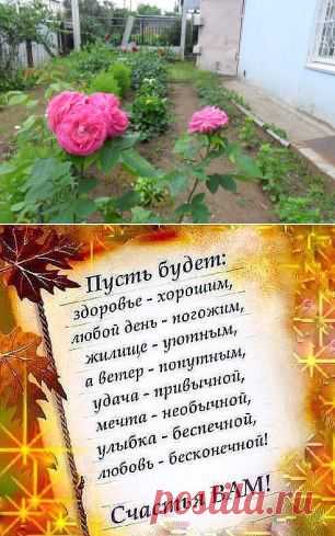 Одноклассники