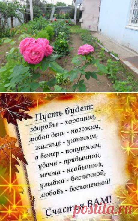Одноклассники