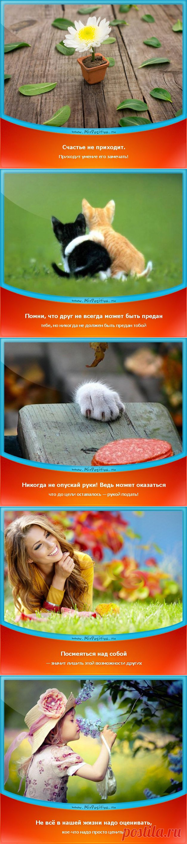 Позитивчики Недели (смотреть фото)