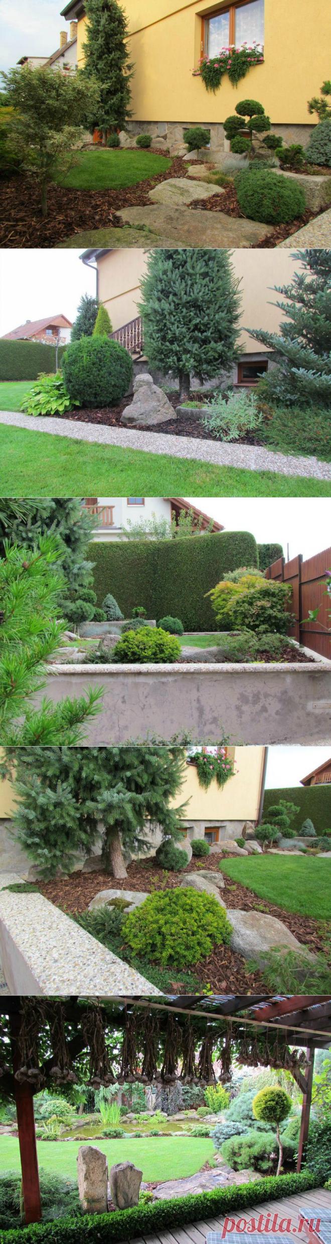 ПРЕКРАСНЫЙ СТИЛЬНЫЙ САД С ХВОЙНИКАМИ | Самоцветик