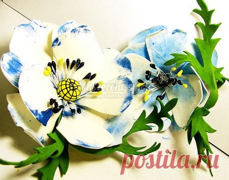 Анемоны | Записи в рубрике Анемоны | Дневник magovar