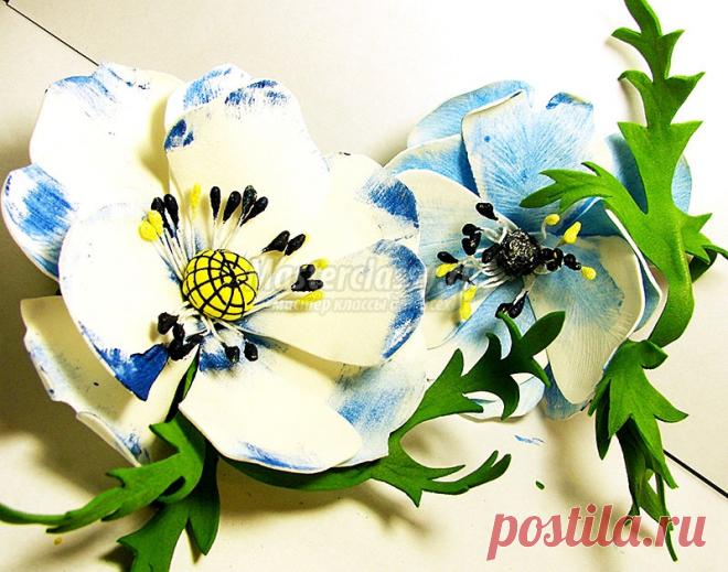 Анемоны | Записи в рубрике Анемоны | Дневник magovar