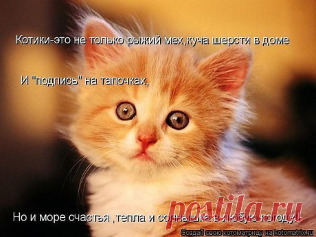 Мой Мир@Mail.Ru