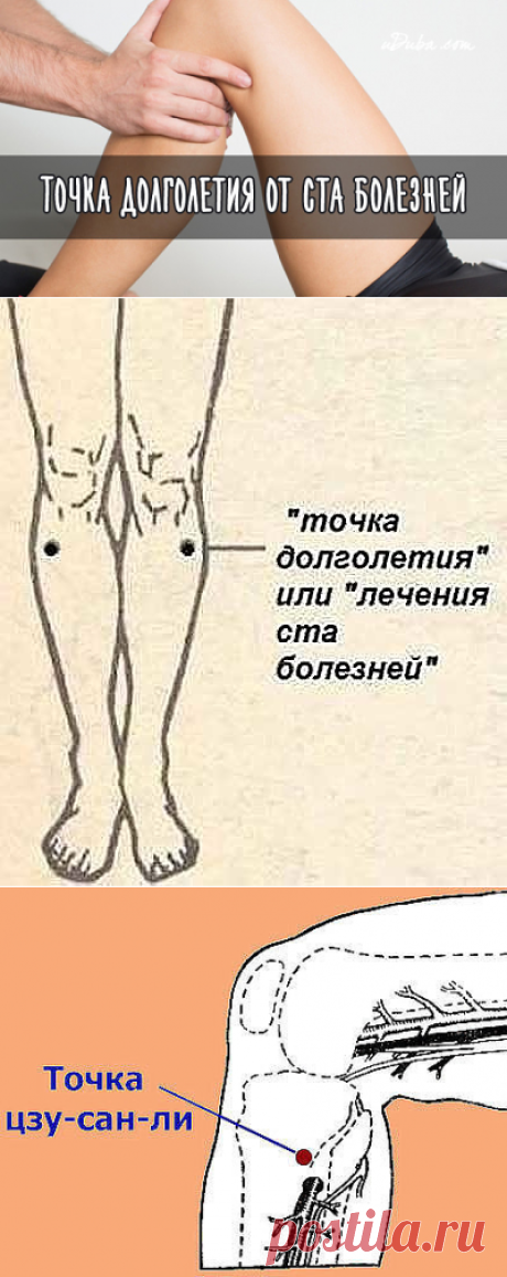 (1) Одноклассники