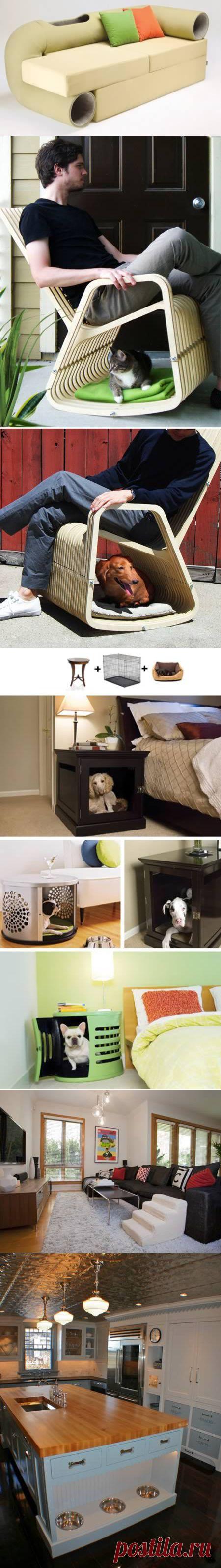 Уютные идеи для животных и их хозяев | Ваш Дом