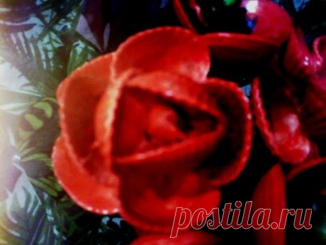 Поделки из ракушек  Роза