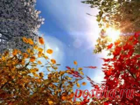 Разговор с Богом (полная версия) - YouTube